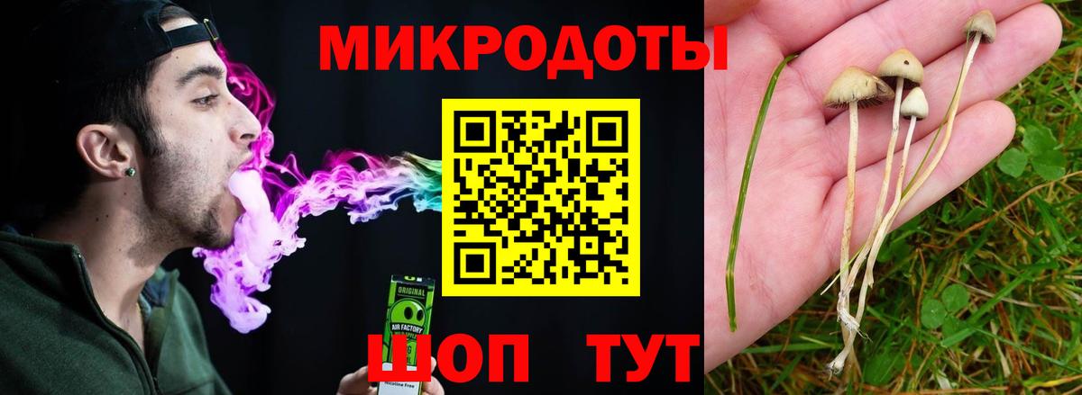 Галлюциногенные грибы MAGIC MUSHROOMS  Галлюциногенные грибы мухоморы  Казань  Вход с VPN 